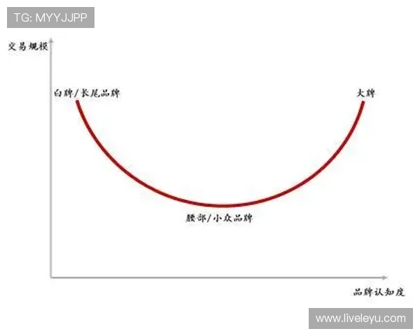 数据分析如何提升纽卡斯尔联？专家马克揭秘战术突破与深层逻辑